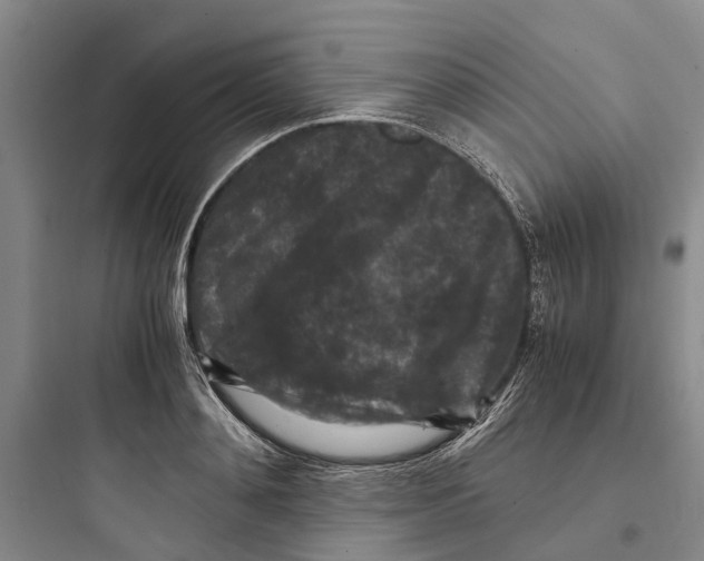 X0000097660892200803211917