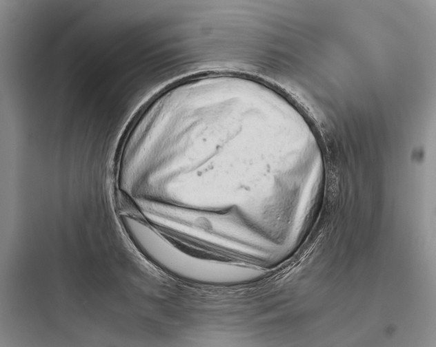 X0000097660895200803211917