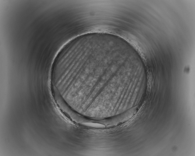 X0000097660896200803211917