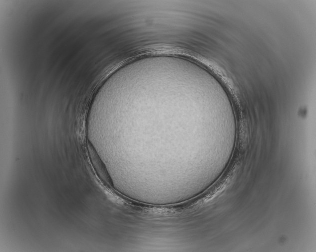 X0000097660897200803211917