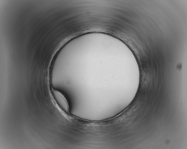 X0000097660898200803211917