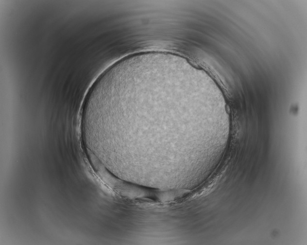 X0000097660900200803211917
