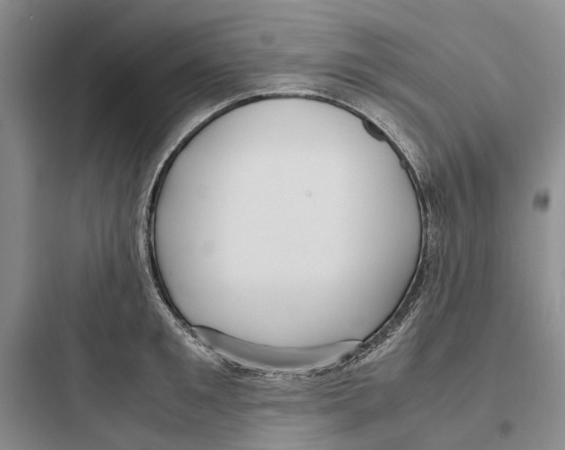 X0000097660901200803211917