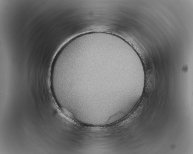 X0000097660904200803211917