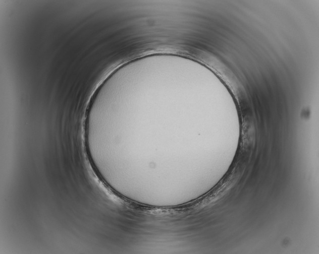 X0000097660906200803211917