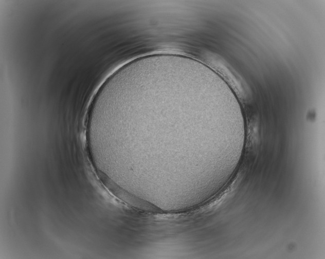 X0000097660908200803211917