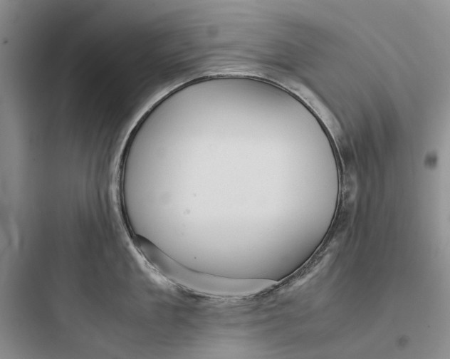X0000097660909200803211917