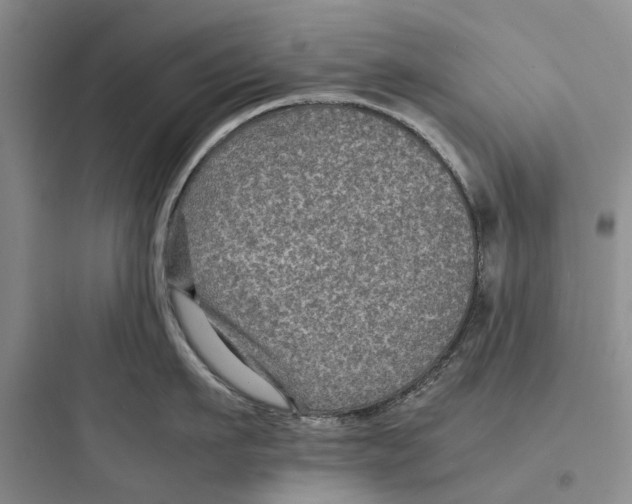 X0000097660911200803211917