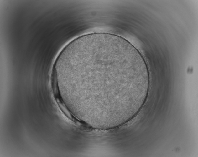 X0000097660912200803211917