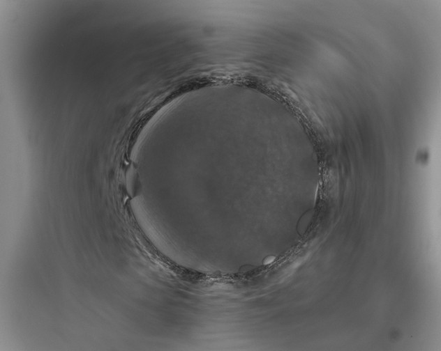 X0000097660913200803211916