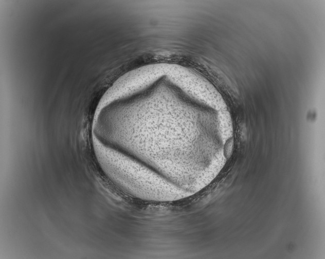 X0000097660914200803211916