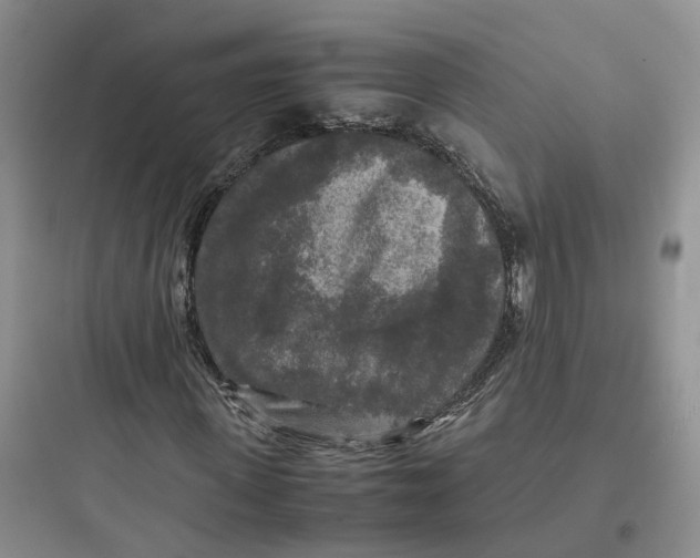X0000097660915200803211916