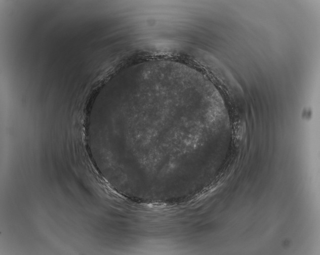 X0000097660916200803211916