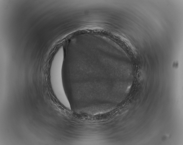 X0000097660920200803211916