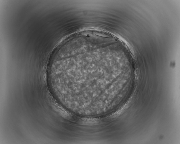 X0000097660921200803211916