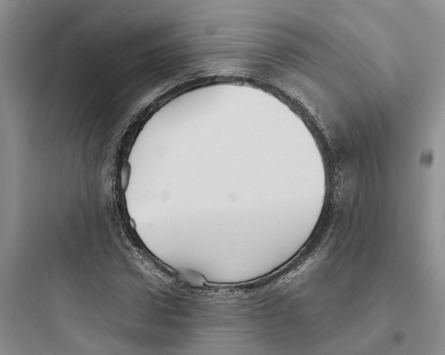 X0000097660922200803211916