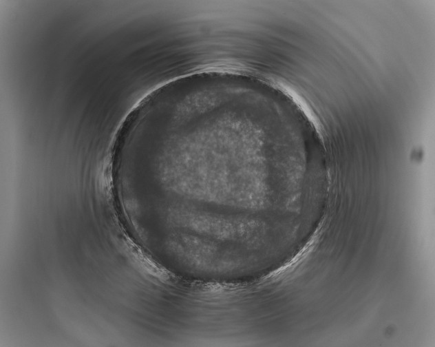 X0000097660923200803211916