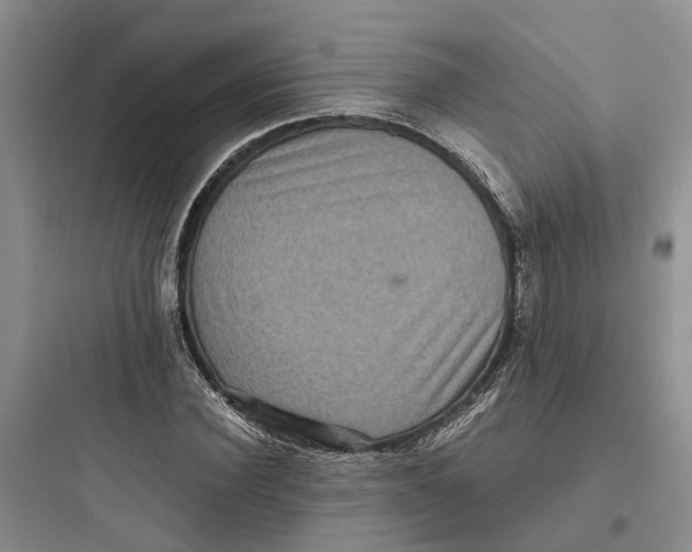 X0000097660924200803211916