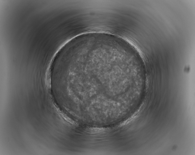 X0000097660925200803211916