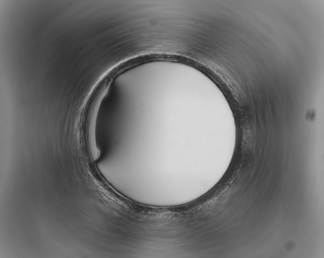 X0000097660926200803211916