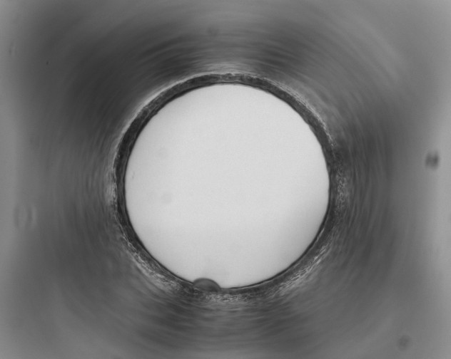 X0000097660927200803211916
