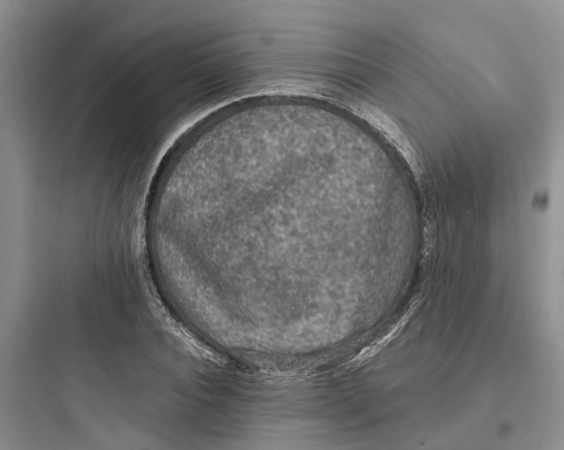 X0000097660928200803211916