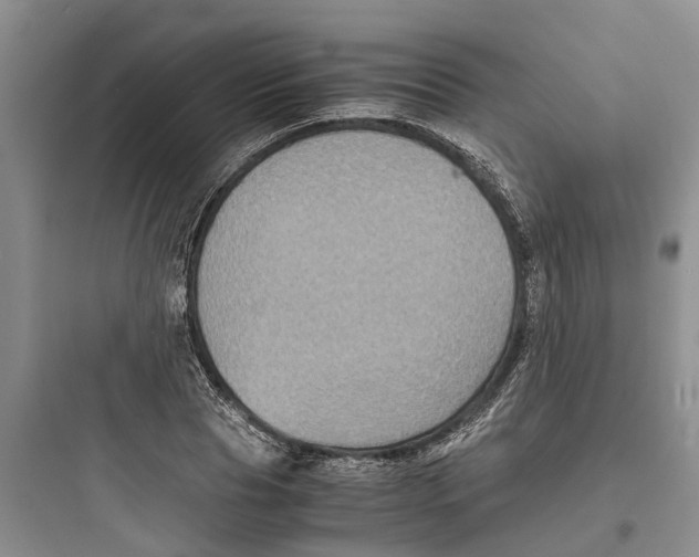 X0000097660929200803211916