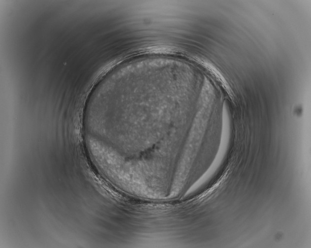 X0000097660930200803211916
