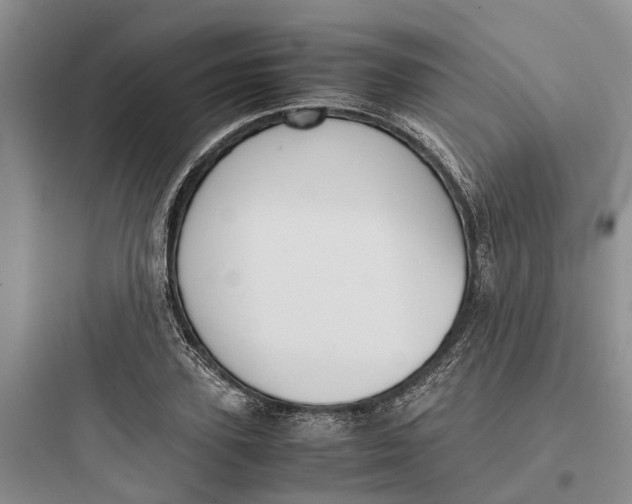 X0000097660931200803211916
