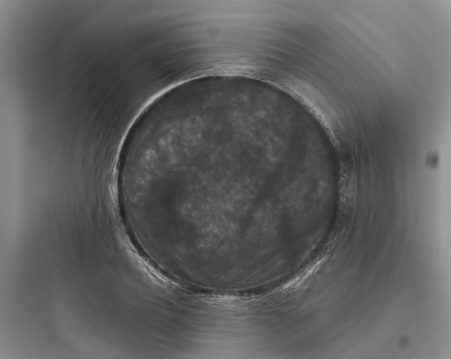 X0000097660932200803211916