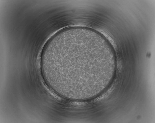 X0000097660933200803211916