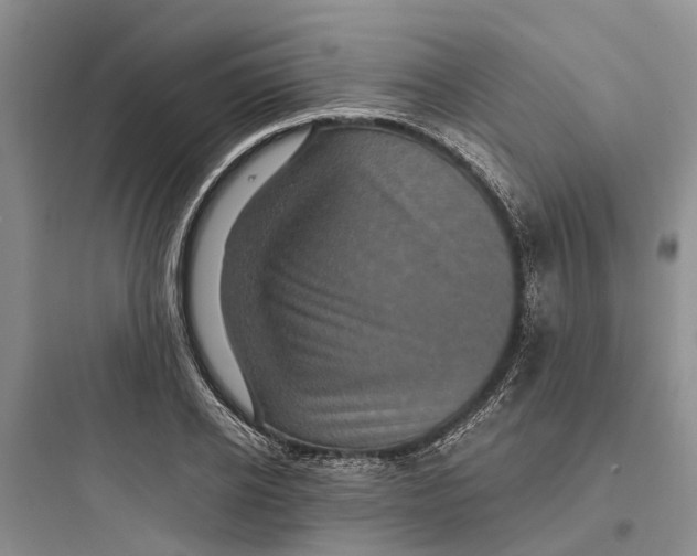 X0000097660934200803211916