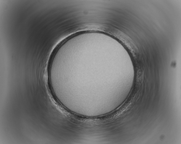 X0000097660936200803211916