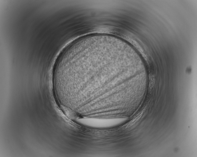 X0000097660939200803211916