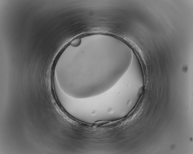 X0000097660941200803211916