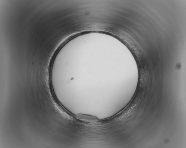X0000097660942200803211916