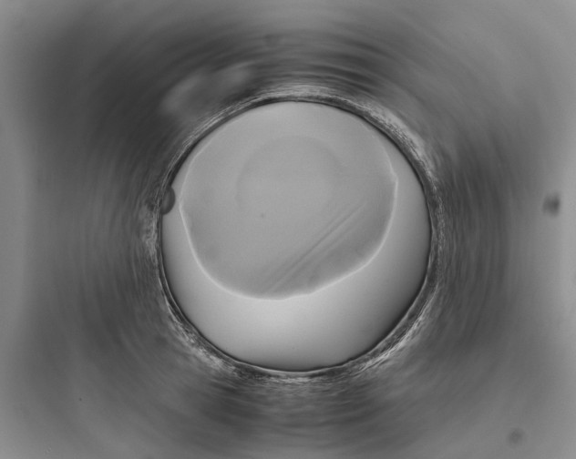 X0000097660945200803211916