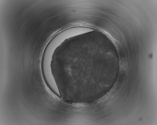 X0000097660946200803211916