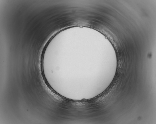 X0000097660947200803211916