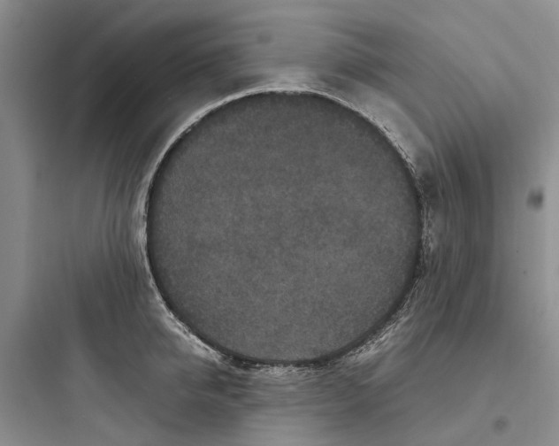 X0000097660950200803211916