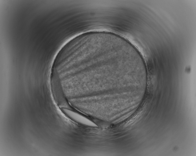 X0000097660951200803211916