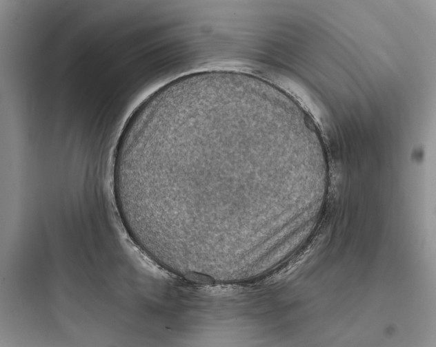 X0000097660952200803211916