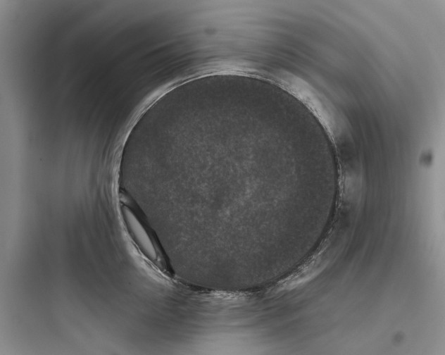 X0000097660954200803211916