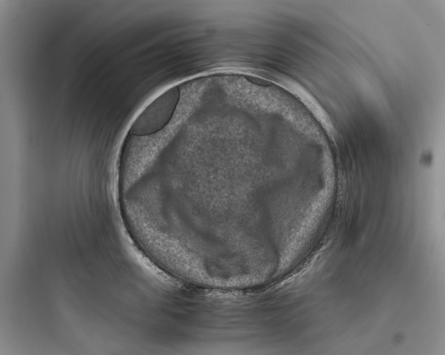 X0000097660955200803211916