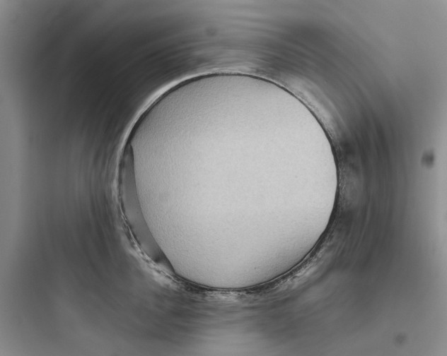 X0000097660956200803211917