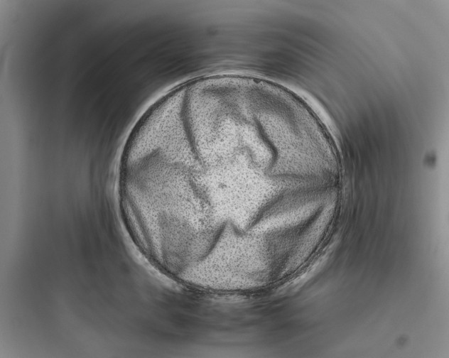 X0000097660957200803211917