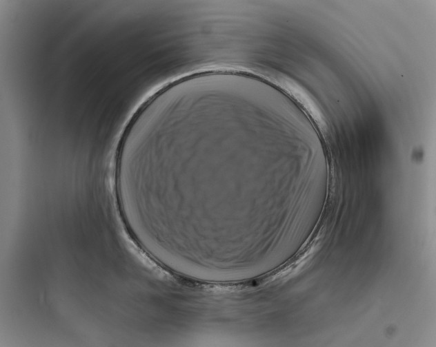 X0000097660958200803211917