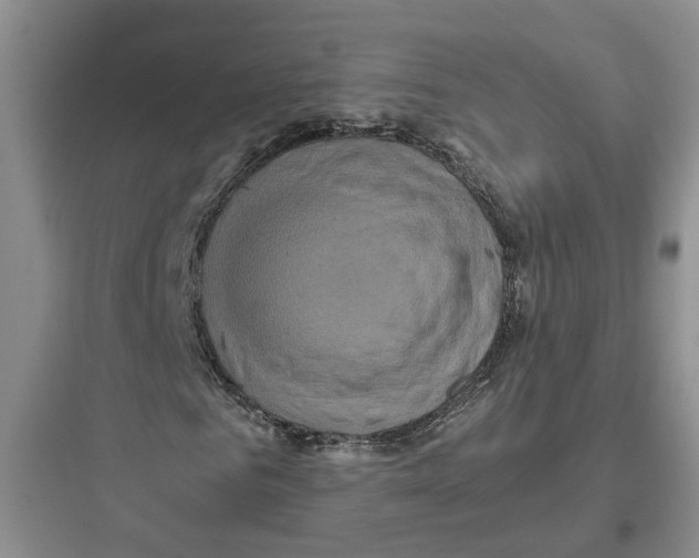 X0000097660961200803211916