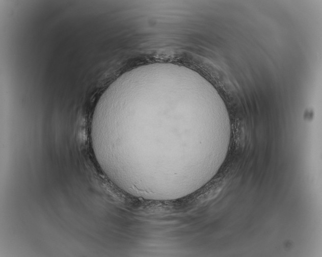 X0000097660962200803211916