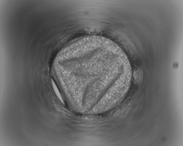 X0000097660963200803211916